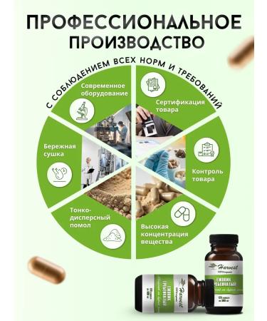 Harvesting Ezhovik creped 120 capsules 500 mg - Buy Online on GoSupps.com