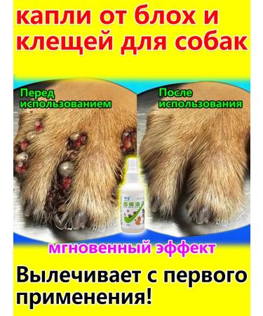 Gluebone for dogs of small breeds 100 ml