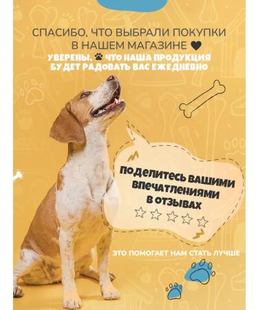 Fitodoc collar for cats 35cm from fleas - Buy Online on GoSupps.com