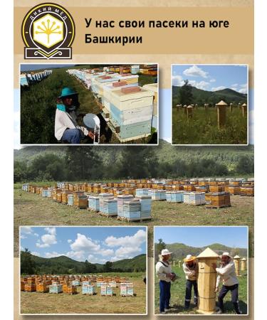 Wild honey "Bayyamyka" - natural honey of 2025 gathering and oil of ghee - Buy Online on GoSupps.com