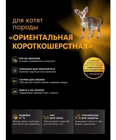 QUATTRO Kittens Former Oriental short -haired with turkey 2kg - Buy Online on GoSupps.com