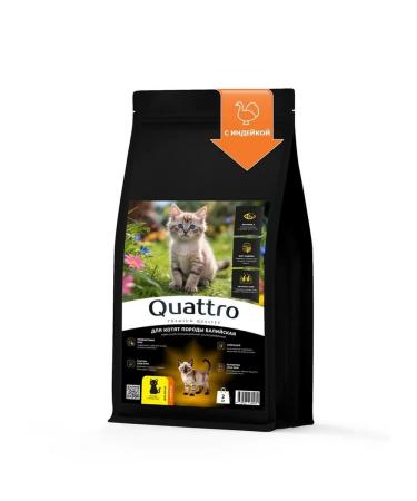 QUATTRO Dry food for kittens of Baliyskaya breed with turkey 2kg