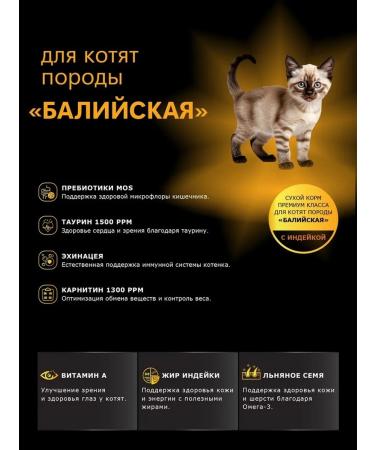 QUATTRO Dry food for kittens of Baliyskaya breed with turkey 2kg - Buy Online on GoSupps.com
