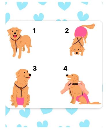 Suppying for dogs for diapers and panties - Buy Online on GoSupps.com