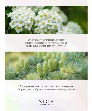 NOTE Cosmetics Tonal base Mattifeing Extreme Wear Strong 230 Vanilla - Buy Online on GoSupps.com