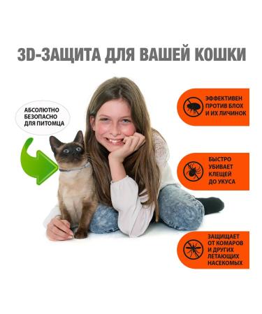 Neoterica Collar from ticks fleas and mosquitoes for cats 40 cm - Buy Online on GoSupps.com