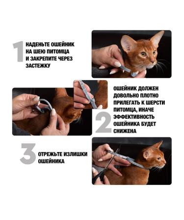 Neoterica Collar from ticks fleas and mosquitoes for cats 40 cm - Buy Online on GoSupps.com