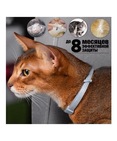 Neoterica Collar from ticks fleas and mosquitoes for cats 40 cm - Buy Online on GoSupps.com