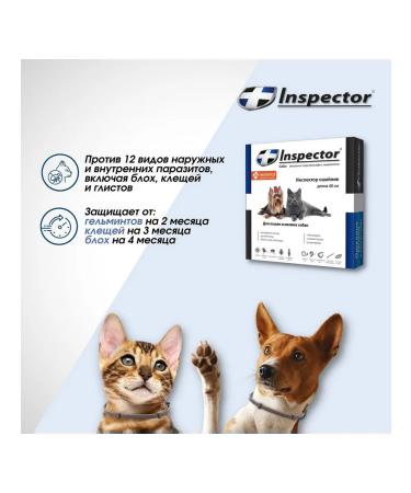 Neoterica Collar from ticks fleas worms for small dogs of cats 40cm - Buy Online on GoSupps.com