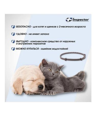 Neoterica Collar from ticks fleas worms for small dogs of cats 40cm - Buy Online on GoSupps.com