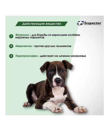 Neoterica Collar from ticks fleas worms for medium dogs 65 cm - Buy Online on GoSupps.com