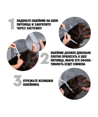 Neoterica Collar from ticks fleas and mosquitoes for large dogs 75 cm - Buy Online on GoSupps.com