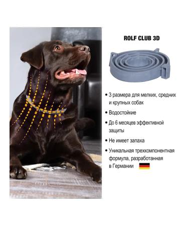 Neoterica Collar from ticks fleas for small dogs and puppies 40 cm - Buy Online on GoSupps.com