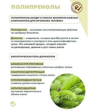 Art Life Oleopren Hepa. Protection and restoration of liver cells - Buy Online on GoSupps.com