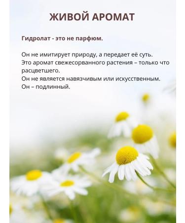 COSMEGIE Chamomile hydrolyte 100 ml - Buy Online on GoSupps.com