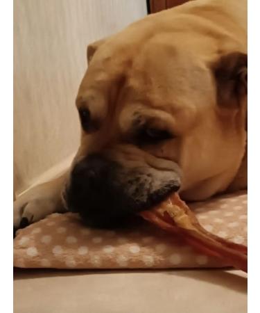 Zoopeet A treat for large breeds of a boose vein 1 piece - Buy Online on GoSupps.com