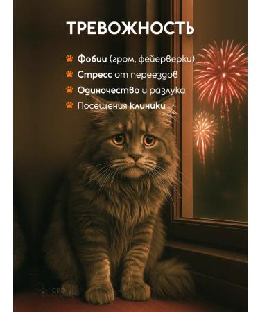 CBD soothing oil for 5 kg (5%) 10 ml - Buy Online on GoSupps.com