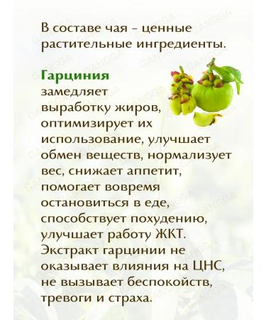 Kumuda Office of herbal tea for weight loss Obee-T 2x40 g - Buy Online on GoSupps.com