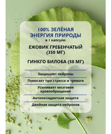Russian superfood Ezhovik Chanbone mycelium + ginkgo bilobe 120 capsules - Buy Online on GoSupps.com