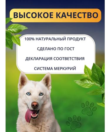 Crunchy-Yums Light beef dried treat for dogs 80 grams - Buy Online on GoSupps.com