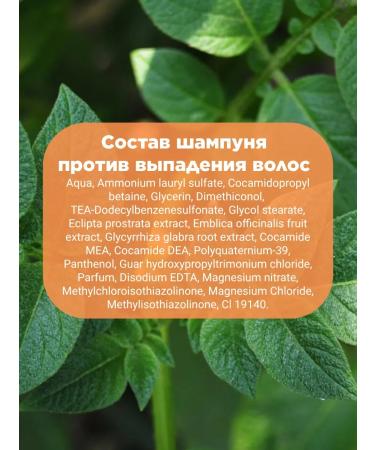 TRICHUP Shampoo and air conditioning against hair loss - Buy Online on GoSupps.com