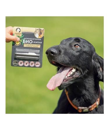 Dude Effective bio drops for puppies and dogs - Buy Online on GoSupps.com