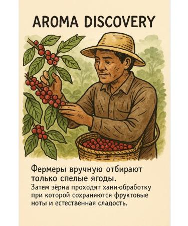 AROMA DISCOVERY Cambodian ground coffee 900g - Buy Online on GoSupps.com