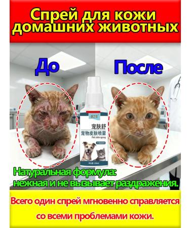 Spray from lichen for cats 100 ml