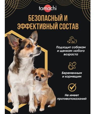 Tamachi Vitamins for small dogs Allergy AID from allergies 100 tab - Buy Online on GoSupps.com