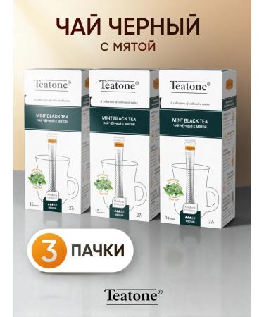 Teatone Black tea with mint in sticks 3 packs