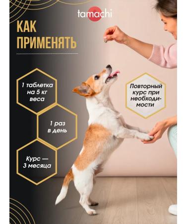 Tamachi Vitamins for small dogs Chondro DOG for joints 100 tab - Buy Online on GoSupps.com