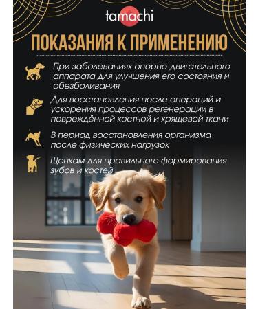 Tamachi Chondro Dog for medium and large dogs 100 tab - Buy Online on GoSupps.com