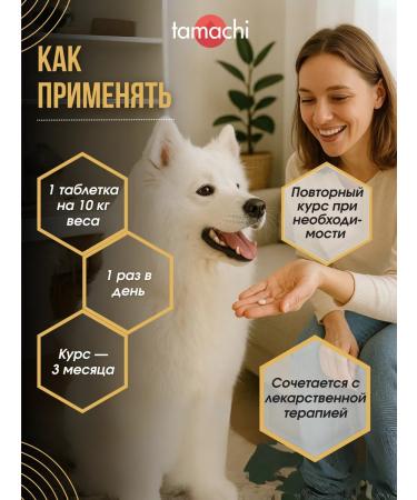 Tamachi Puppy&Dog 100 tablets vitamins for pregnant medium and large dogs - Buy Online on GoSupps.com