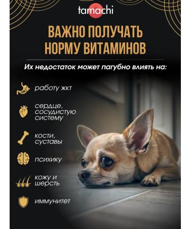 Tamachi Multi Dog vitamins for medium and large dogs for immunity  - Buy Online on GoSupps.com