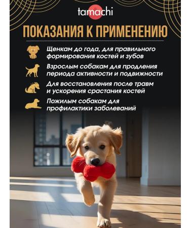 Tamachi Vitamins for small dogs Calcium for bones 100 tab - Buy Online on GoSupps.com