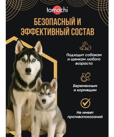 Tamachi Vitamins for medium and large dogs Calcium for bones 100  - Buy Online on GoSupps.com
