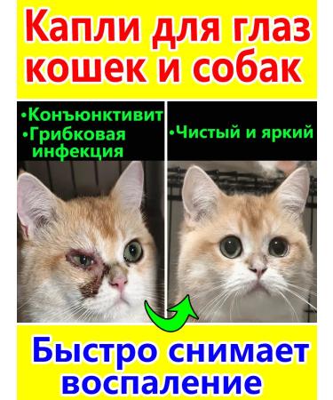 Drops for the eyes of cats and dogs 60ml