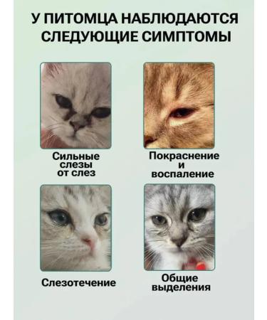 Drops for the eyes of cats and dogs 60ml - Buy Online on GoSupps.com