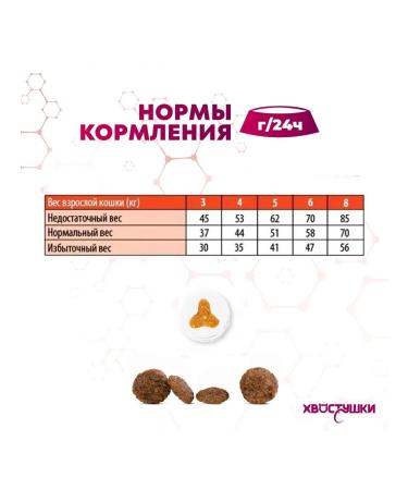 MONGE Dry food for elderly cats (chicken) 1.5 kg - Buy Online on GoSupps.com