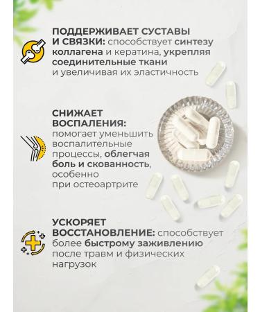 VitaMeal MSM chondroprotector for joints and ligaments - Buy Online on GoSupps.com