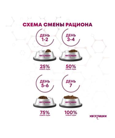 MONGE Dry food for dogs mini (salmon rice) 7.5 kg - Buy Online on GoSupps.com