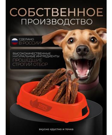 Delicious Crispy and Full Upon beef of dogs for dogs 300 grams - Buy Online on GoSupps.com