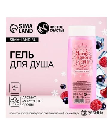 Soul gel "New Year's Magic"