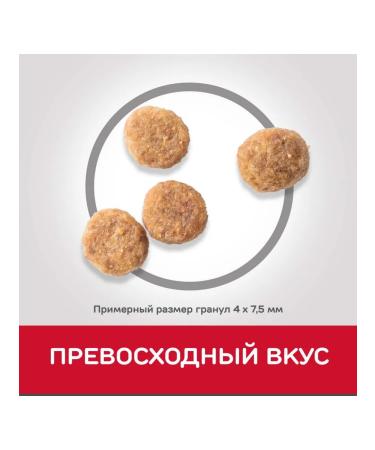 HILL'S Hills for small dogs with sensitive digestion 3 kg - Buy Online on GoSupps.com