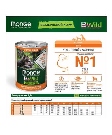 MONGE Canned goods Bezzernovy for puppies duck tsukini puke 400g x24pcs - Buy Online on GoSupps.com