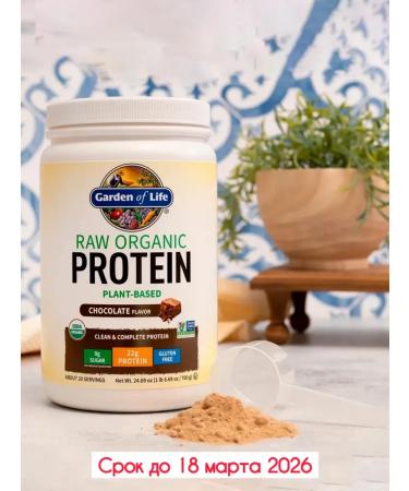 Garden of Life Plant protein RAW chocolate 700 grams