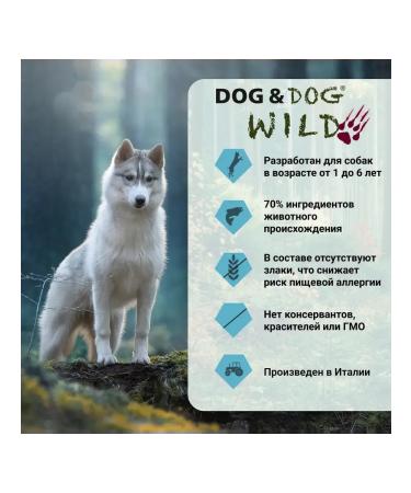 Dog&Dog Dog & Dog Wild Dry Dog Food with Salmon and Cod 2 kg - Buy Online on GoSupps.com