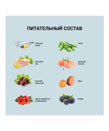 Dog&Dog Dog & Dog Wild Dry Dog Food with Salmon and Cod 2 kg - Buy Online on GoSupps.com