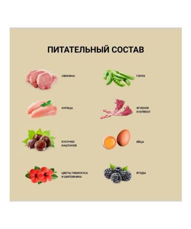 Dog&Dog Dog & Dog Wild Dry Dog Food with Wild Boar Lamb and Buffalo 2 kg - Buy Online on GoSupps.com