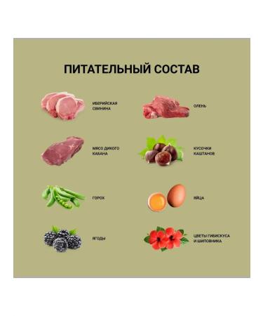 Dog&Dog DOG & DOG Wild dry dog food with a wild boar 12 kg - Buy Online on GoSupps.com